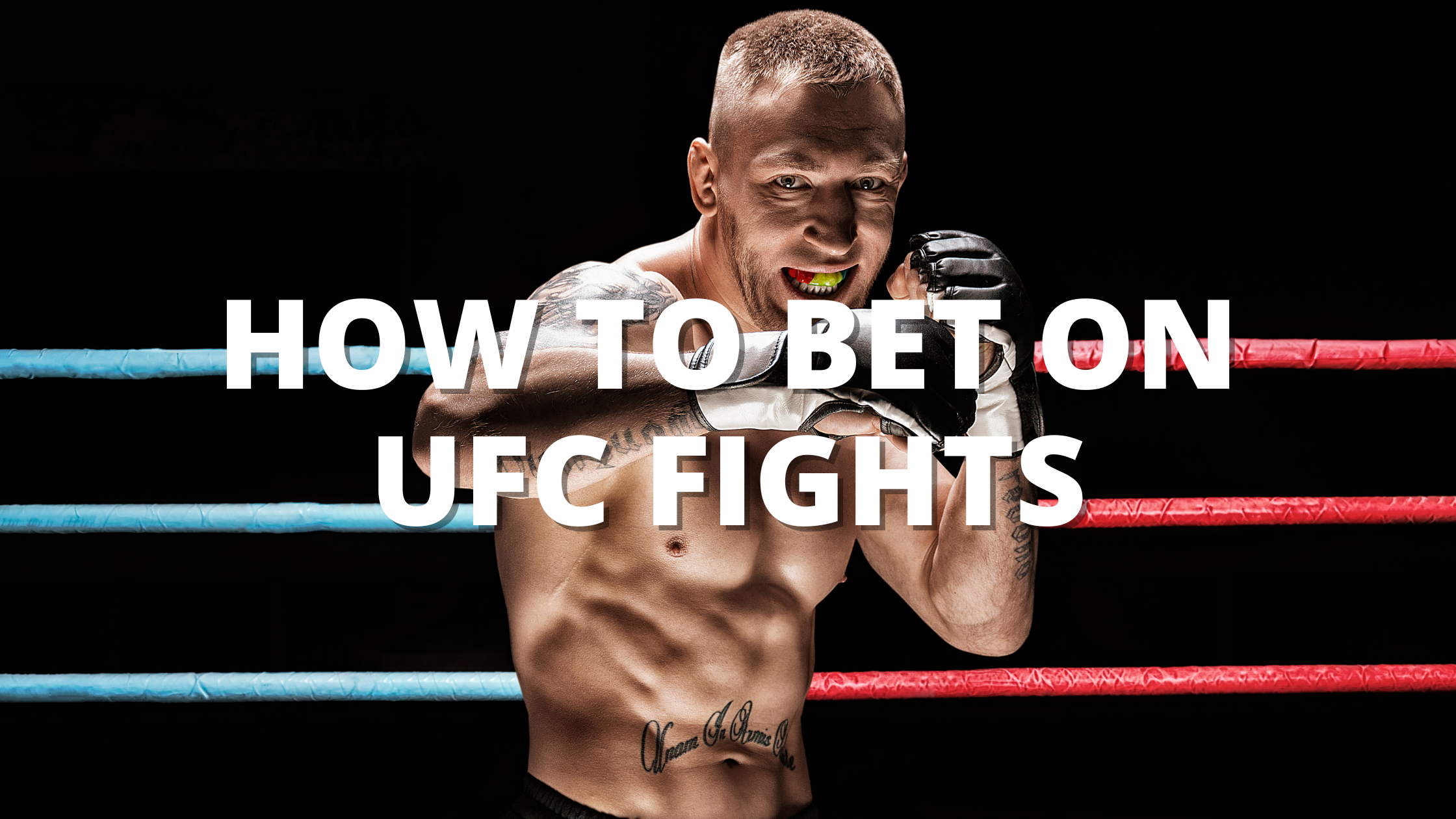 How To Bet on UFC Fights