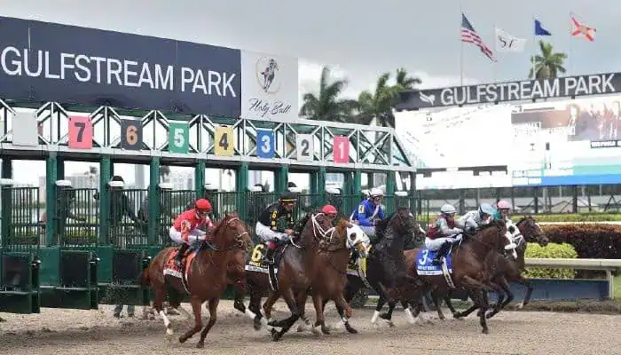 Gambling News 10 Horses and jockeys burst out of the starting gate at Gulfstream Park racetrack.