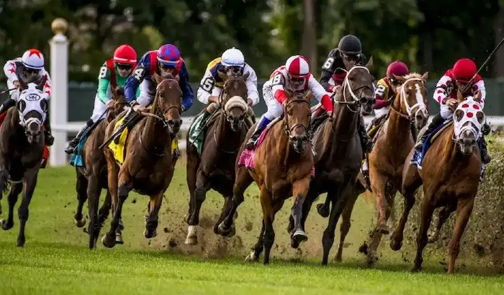 Gambling News 7 Horse racing action from the 2021 Pennine Ridge Stakes, showing jockeys and thoroughbreds competing on the turf track.