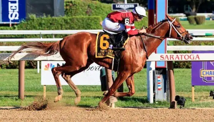 Gambling News 9 A jockey rides a chestnut horse wearing number 6 during a race at Saratoga.