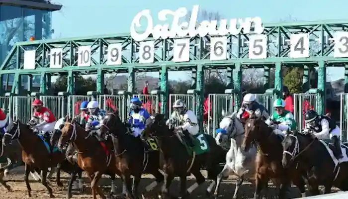 Horses burst from the starting gate at Oaklawn racetrack during the beginning of a race.