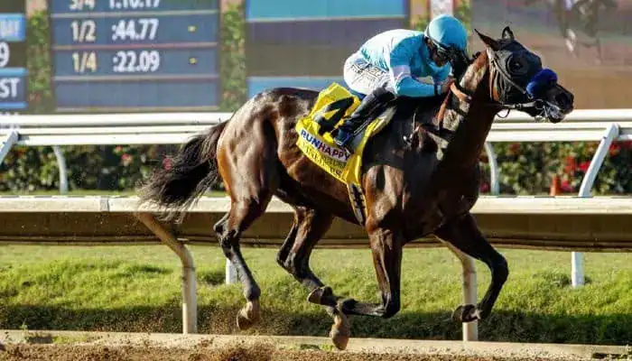 Jockey in blue silks riding a racehorse at full speed during a horse race.