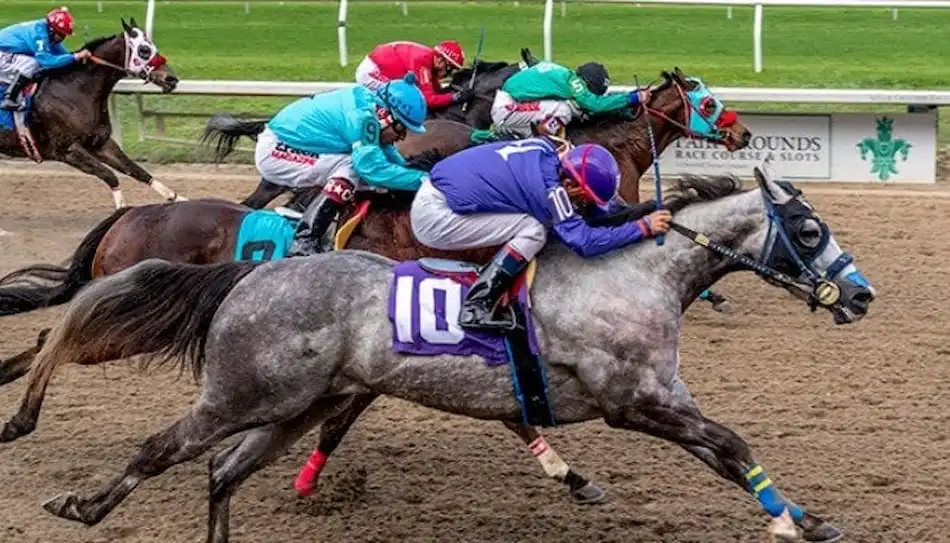 A close finish at a horse race shows multiple jockeys and horses pushing toward the finish line.