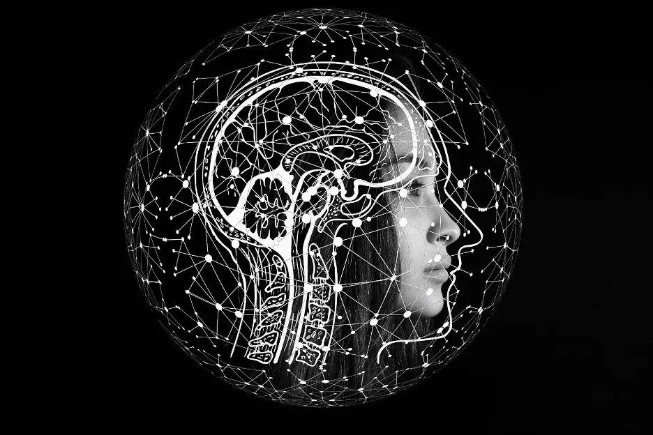 Bettors psychology hormone levels motivation and preferences