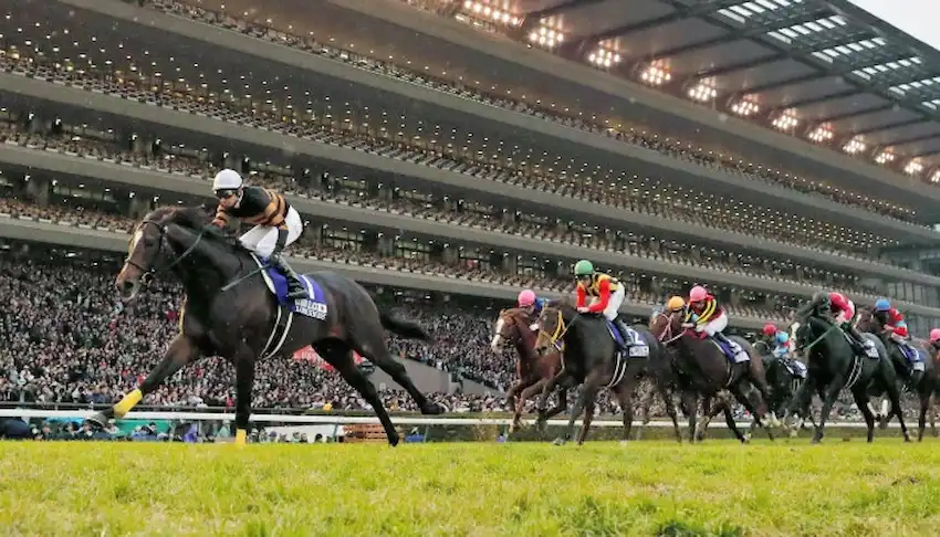 A racehorse pulls ahead of the field during a major horse race.