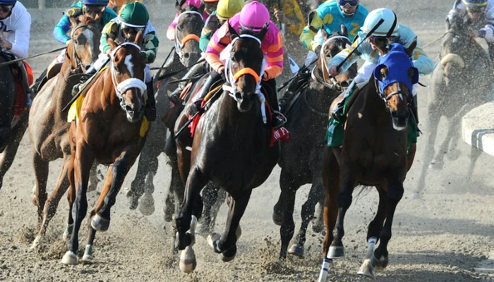 Betting Louisiana Champions Day at Fair Grounds Race Course