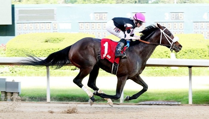 Top Weekend Horse Bets at Keeneland & Belmont Park