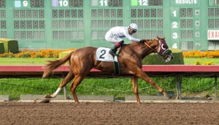 2021 bob hope stakes picks
