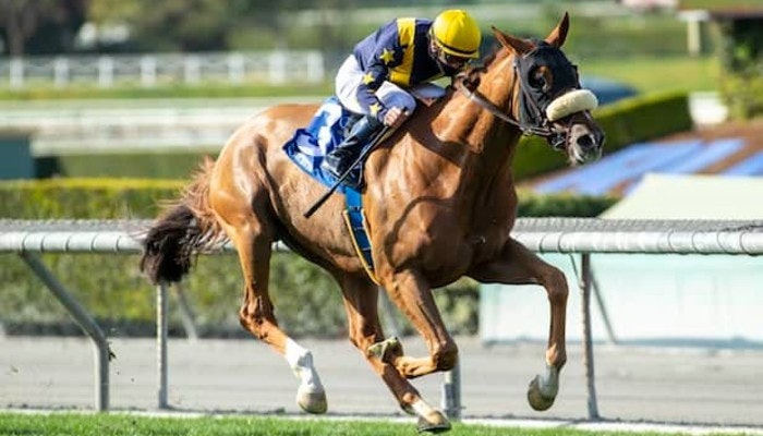 2021 eddie read stakes picks