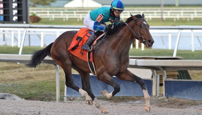 2021 Fountain of Youth Stakes Odds and Picks
