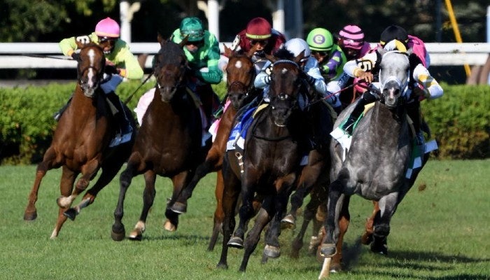 2021 fourstardave handicap picks