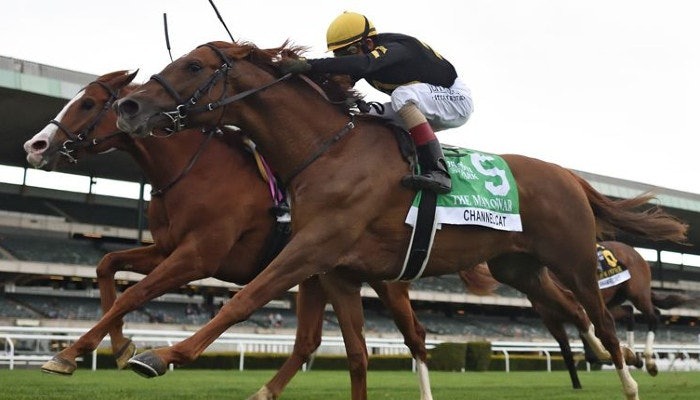 2021 red smith stakes picks