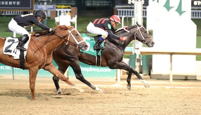 2021 remington springboard mile