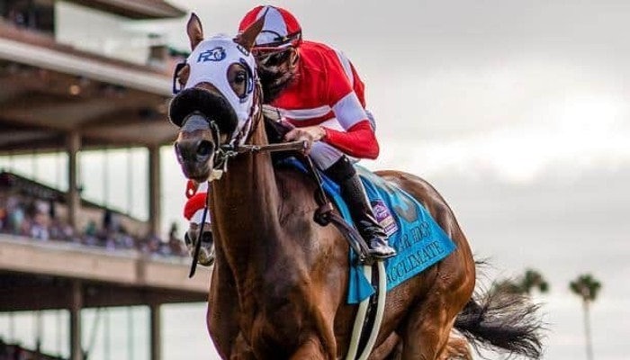 2021 San Juan Capistrano Stakes Odds, Picks and Preview