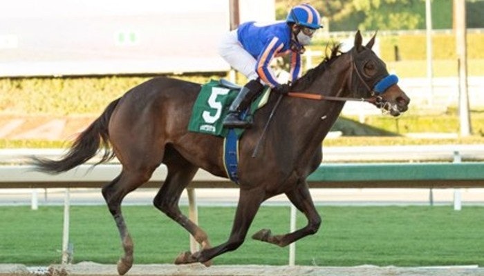 2021 Santa Margarita Stakes Odds and Predictions