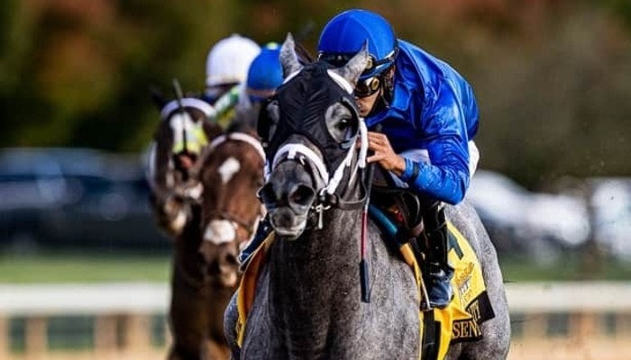 Oaklawn’s Southwest Stakes Highlight’s This Weekend’s Horse Betting