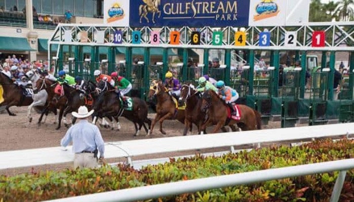 2022 Holy Bull Stakes Odds and Picks