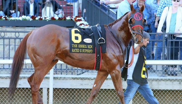 2022 Oaklawn Handicap Odds and Picks