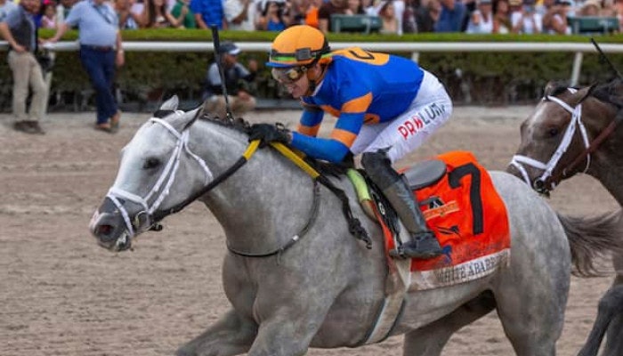 2022 Ohio Derby Odds and Predictions