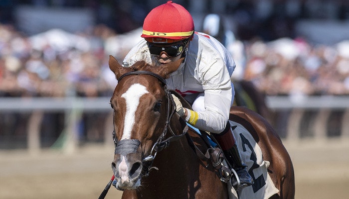 2022 Sam F. Davis Stakes Odds and Picks