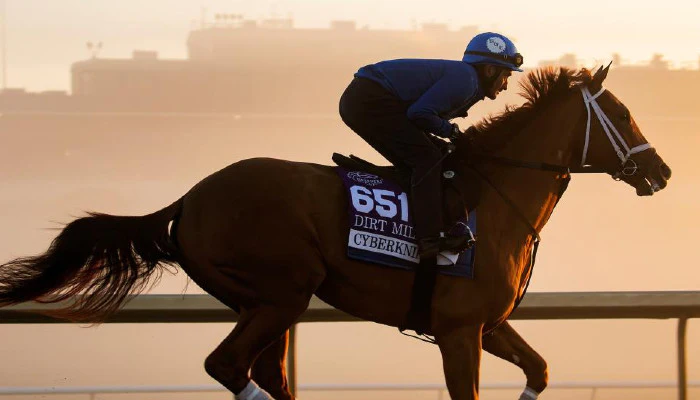 2023 Pegasus World Cup Invitational Odds and Picks