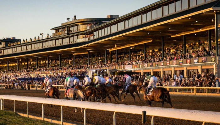 What Is a Horse Racing Futures Bet?