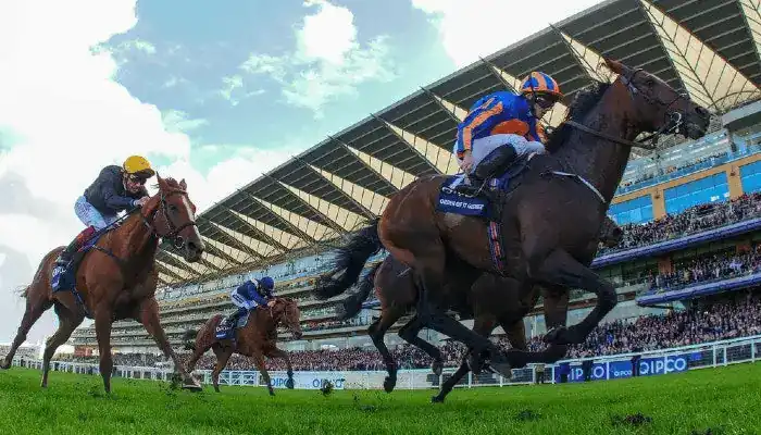 Horse Racing
