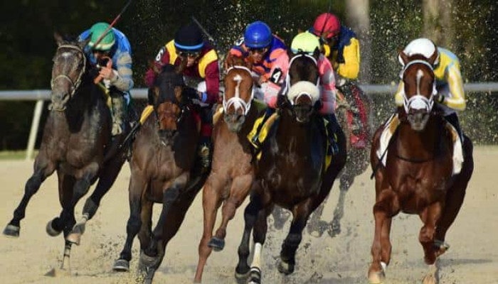 Predicting the 2022 Pasco Stakes and California Cup Derby