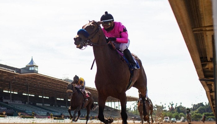 2021 Affirmed Stakes Picks, Odds and Race Preview