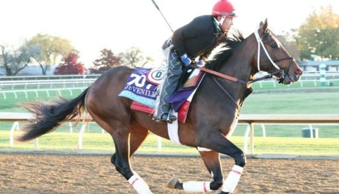 Thanksgiving Horse Betting at Churchill Downs