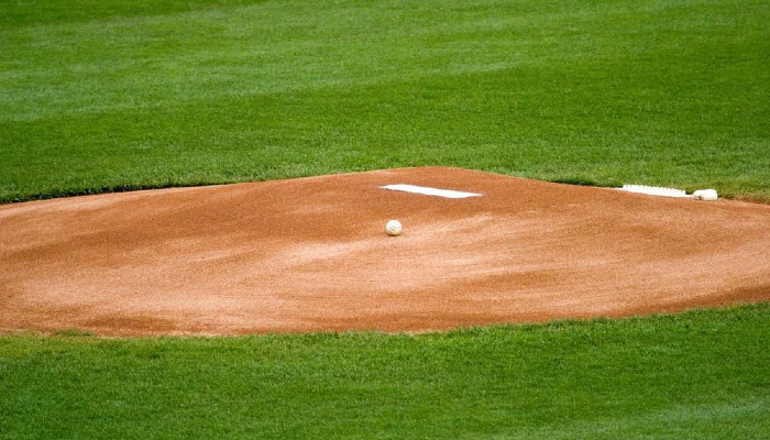 Most Popular Baseball Leagues to Bet On