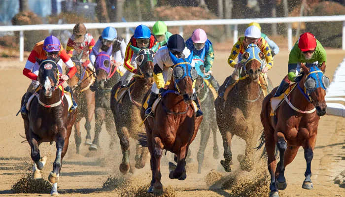 Most Popular Horse Races in the US to Bet On