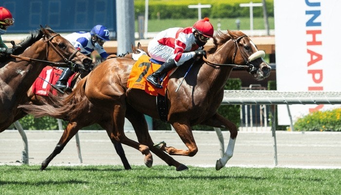 Start the 2021 Horse Betting Season at Santa Anita Park