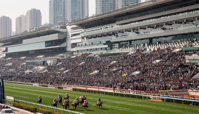 Top Horse Races in Hong Kong to Bet On