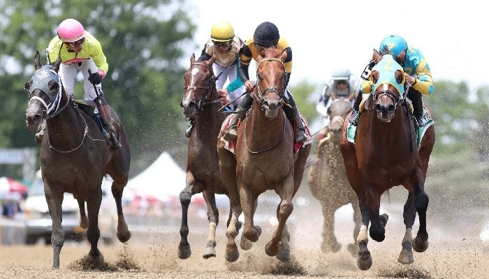 Learn to Bet: What Is an Exacta, Trifecta, and Superfecta