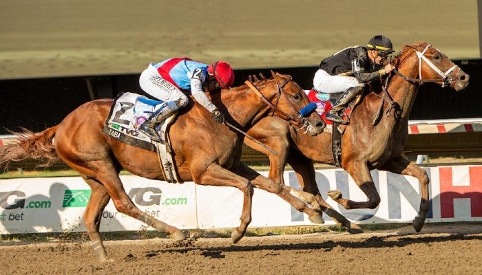 2022 Pennsylvania Derby Odds and Picks