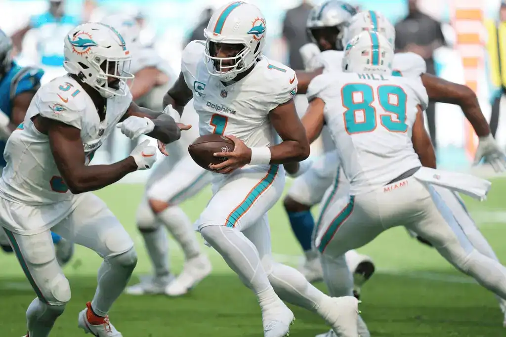 DOLPHINS PLAYERS