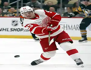 Hockey red wings player