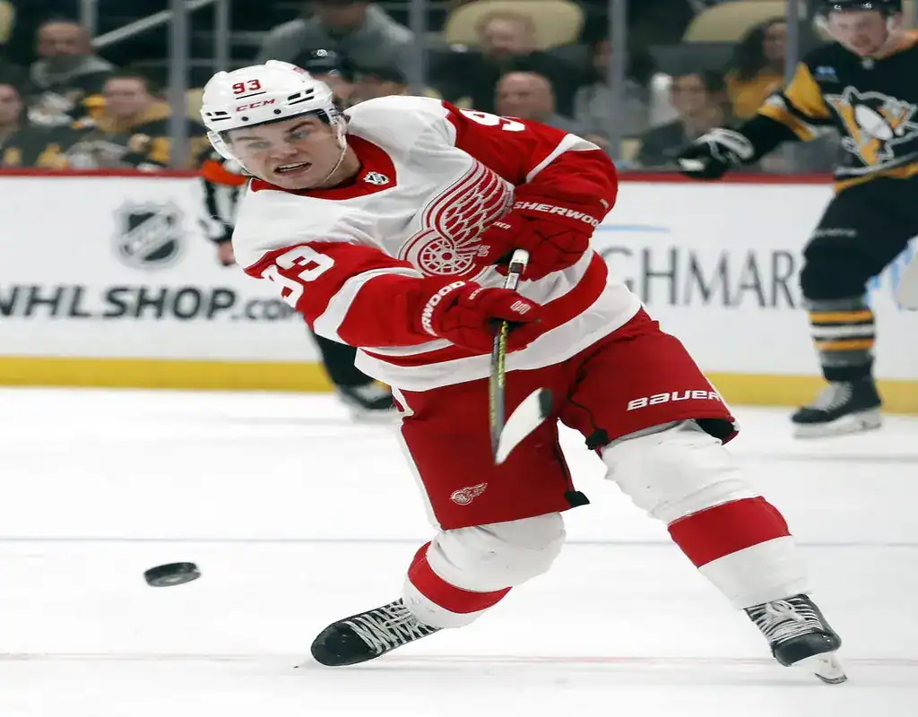 Hockey red wings player