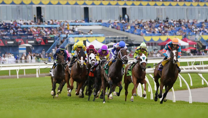 Consejos expertos para apostar en carreras de caballos