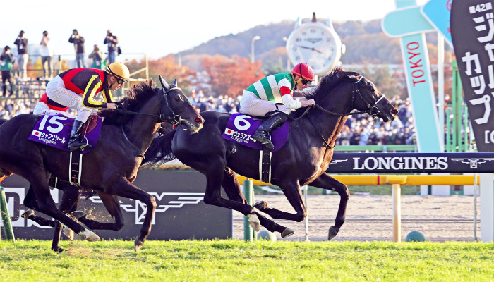 Use these tips for Japan Cup betting.