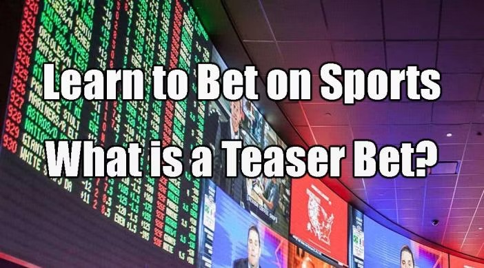 Learn how to bet