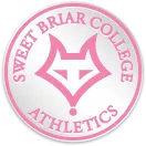 alfred-university-saxons-logo