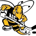 American International Yellow Jackets