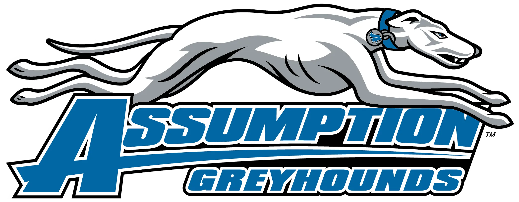 assumption-greyhounds-logo