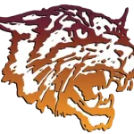Bethune-Cookman Wildcats