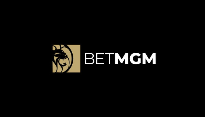 BetMGM Deposit Methods