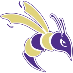 defiance-yellow-jackets-logo