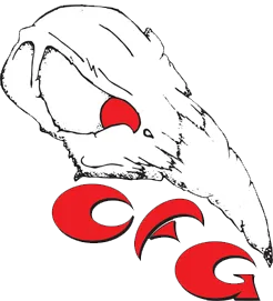endicott-gulls-logo