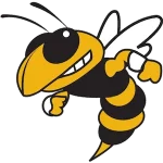 Georgia Tech Yellow Jackets